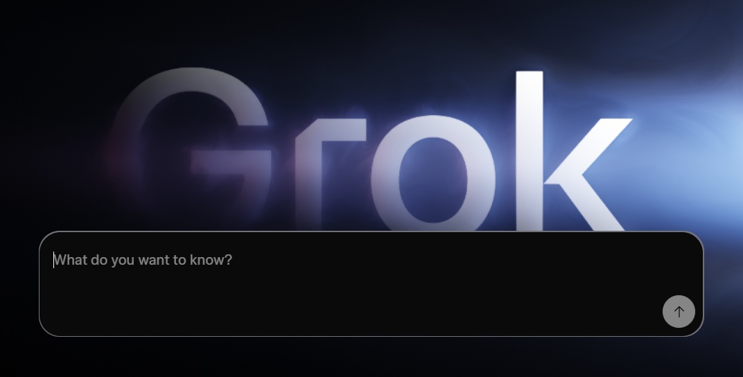 250803 grok